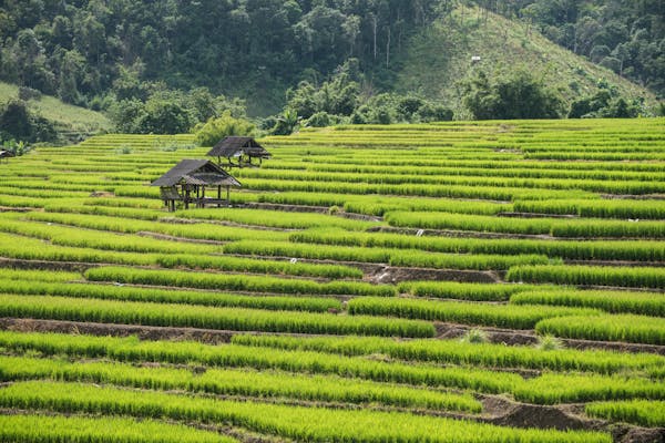 chiang mai