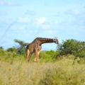 Nairobi, kenya