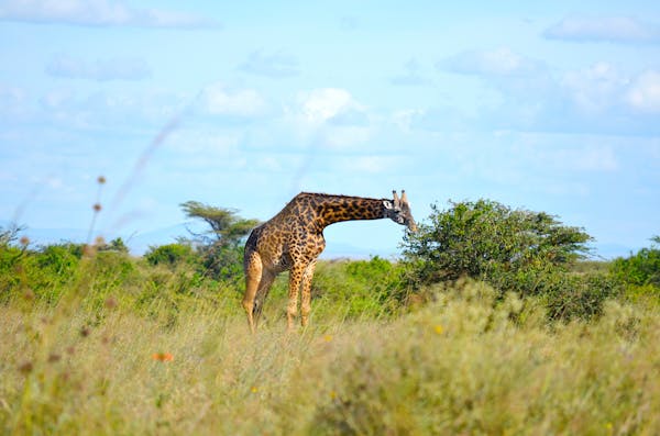 Nairobi, kenya