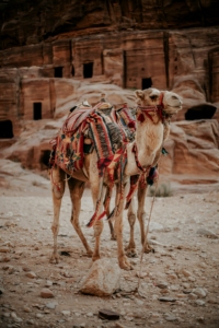 Petra, Jordanie